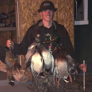 Meet your Posher, Joey